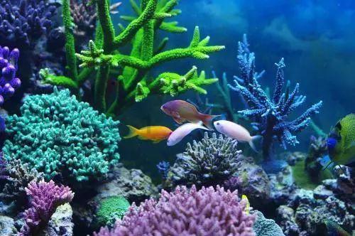 成吉思汗后宫佳丽都是抢来的,为什他不怕被报复?-知识星球,专注分享和探讨成吉思汗后宫佳丽都是抢来的,为什他不怕被报复?